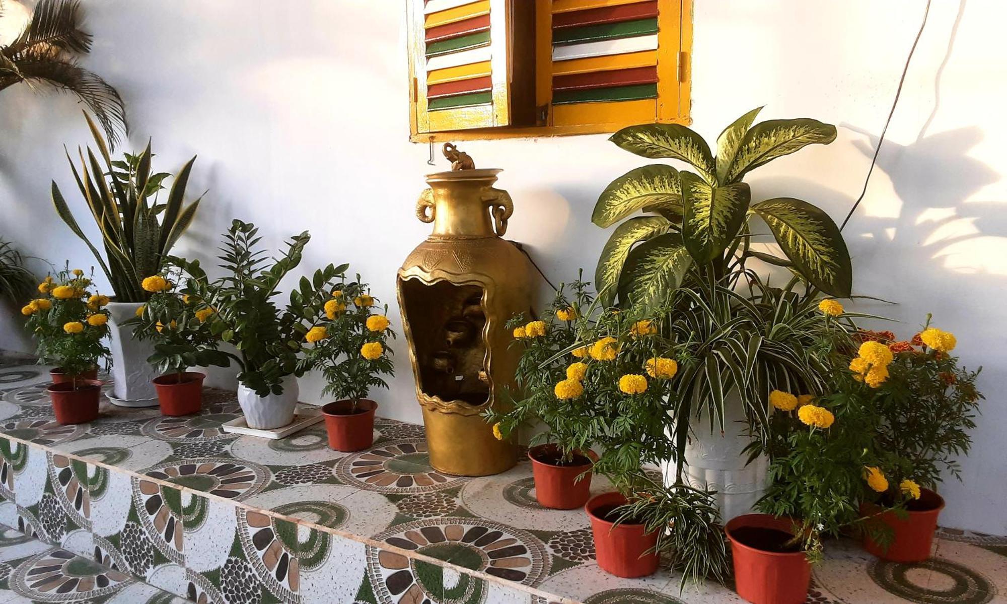 Bonnie Homestay Mui Ne Phan Thiết Zewnętrze zdjęcie